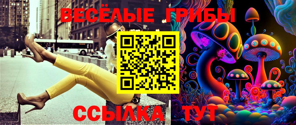 Галлюциногенные грибы Cubensis Большой Камень