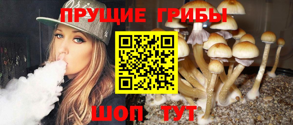 Большой Камень  Галлюциногенные грибы мухоморы  Вход с VPN  Псилоцибиновые грибы Psilocybine cubensis 
